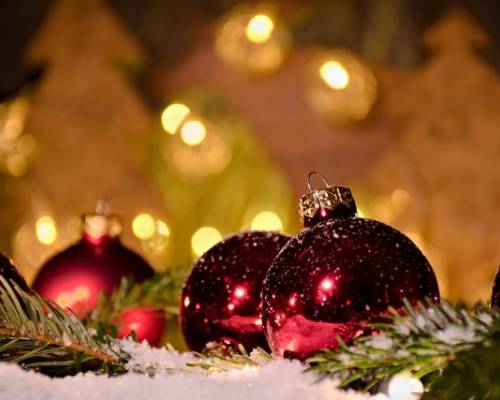 A Gift for the World