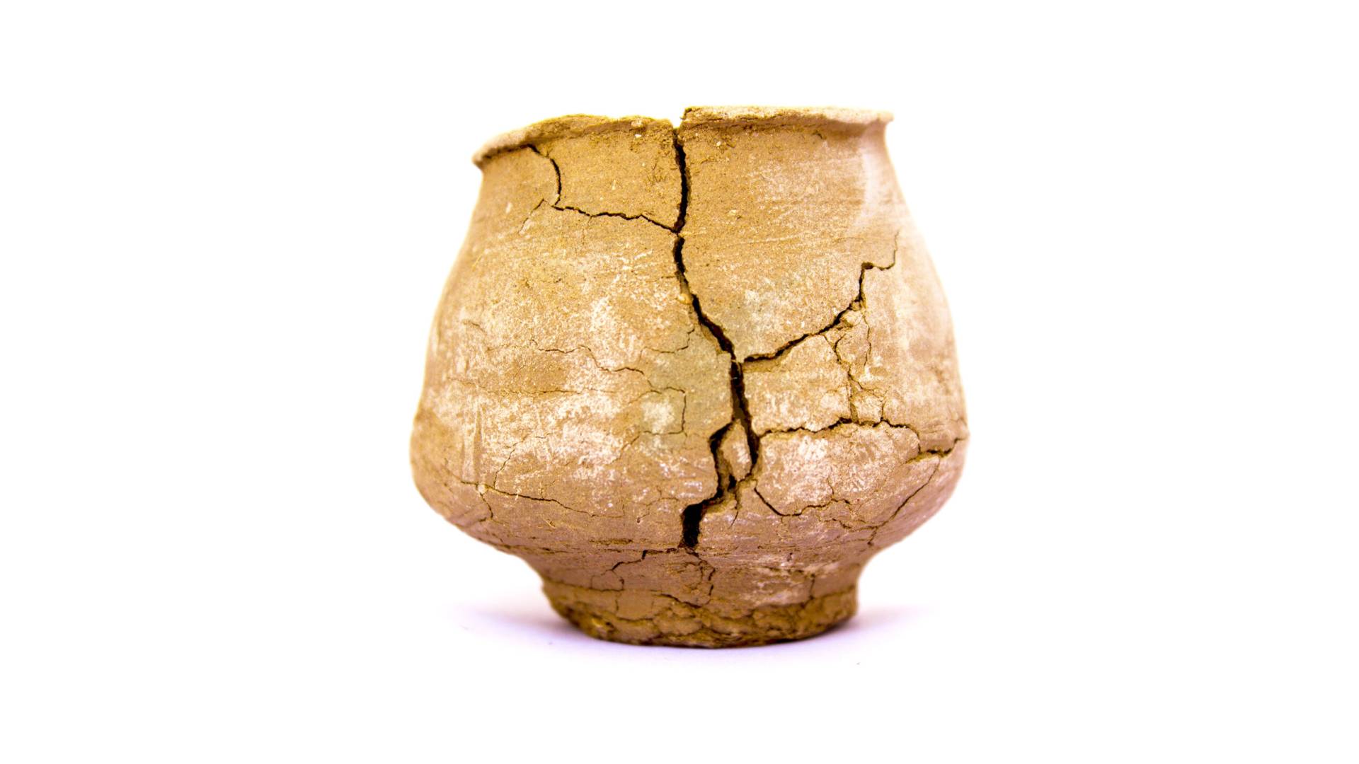 Cracked Clay Pot