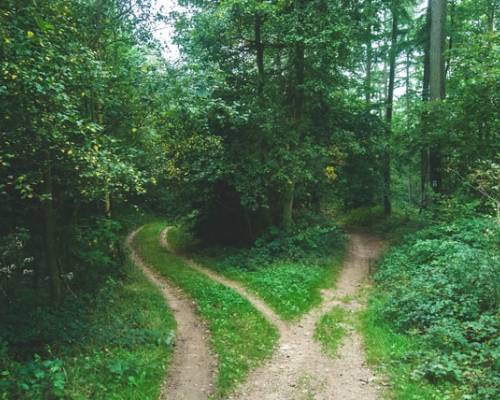 Decision Making God's Way