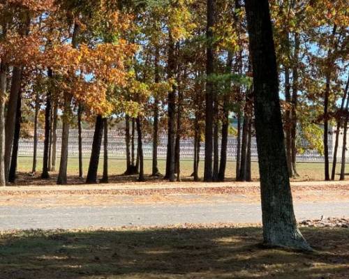 From Handcuffs to Healing