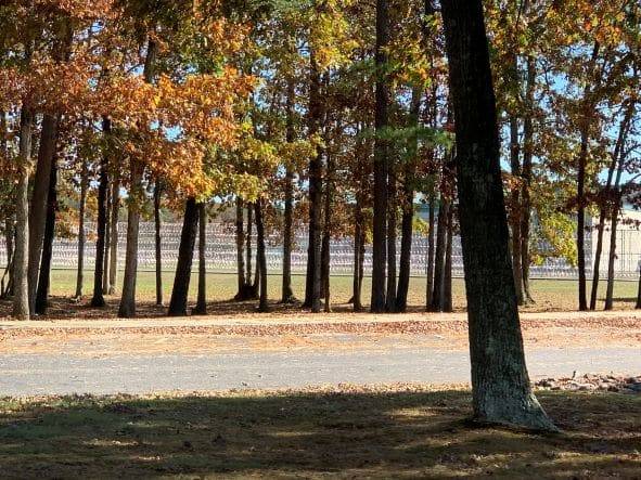 From Handcuffs to Healing