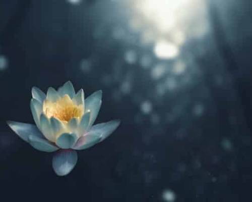 How Meditation Impacts Our Life