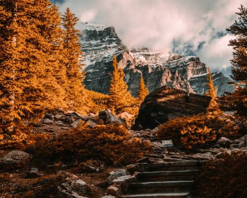 Lay Down Your Expectations