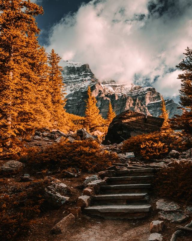 Lay Down Your Expectations