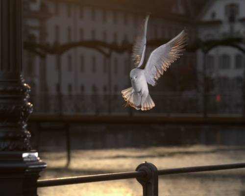 Our Holy Spirit Guide