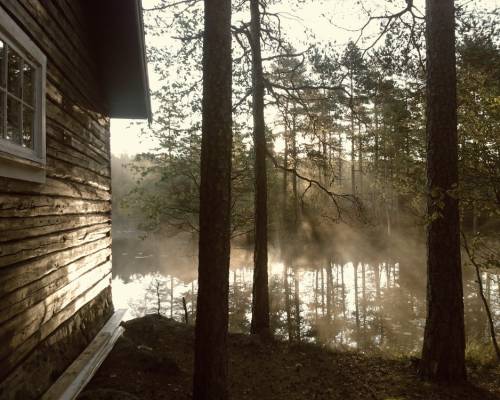 Practice Being Still