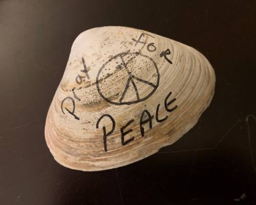 Pray for Peace Shell LoRes