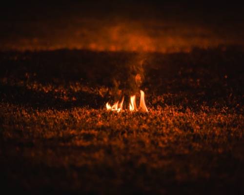 Profile of the Lukewarm