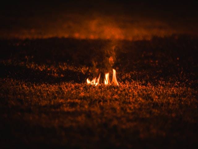 Profile of the Lukewarm