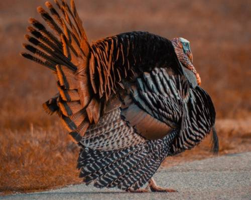 Recognizing the Dignity and Worth of Others by Alan Weiss