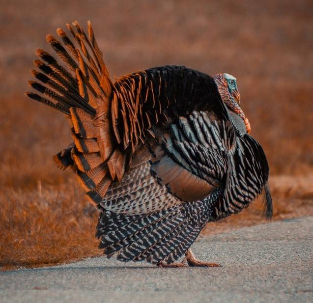 Recognizing the Dignity and Worth of Others by Alan Weiss