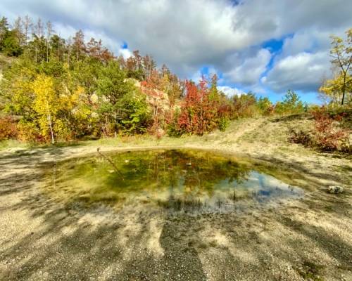 The Landmine of Fear