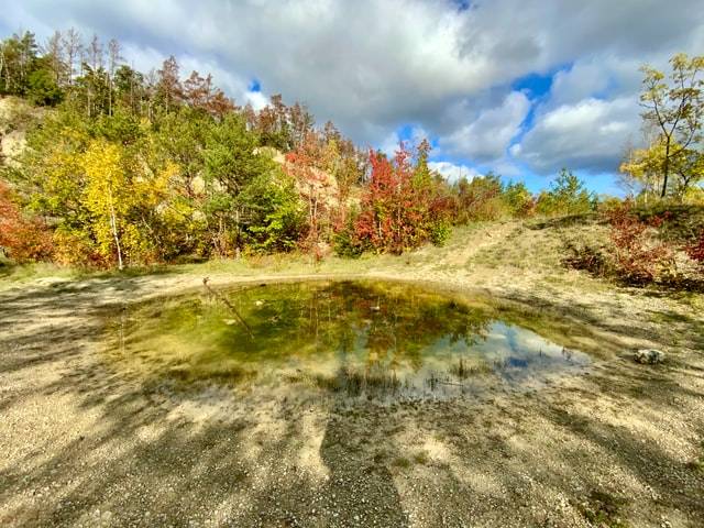 The Landmine of Fear