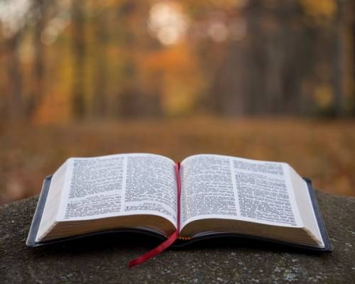 The Stories Central Character