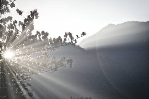 The Unseen Beginning