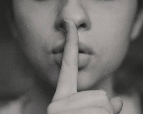 The Voice of Our Enemy