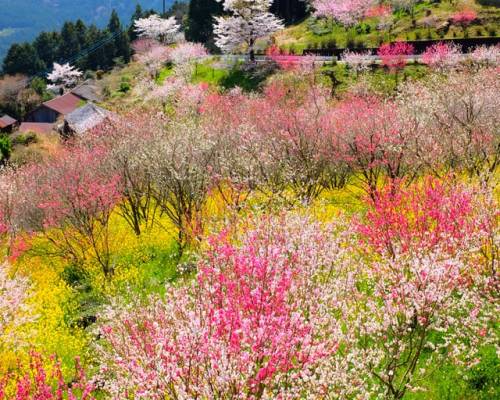 To Everything a Season