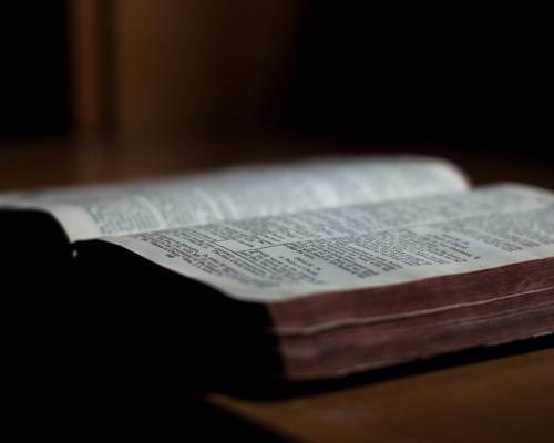 Vision Without Boundaries