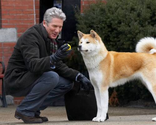 Waiting In Hope - Hachi