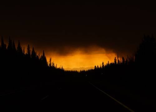 Walking Through Dark Times