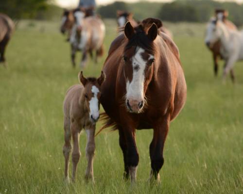 We Werent Made to Experience Death - Part 3 - But Here Comes New Life