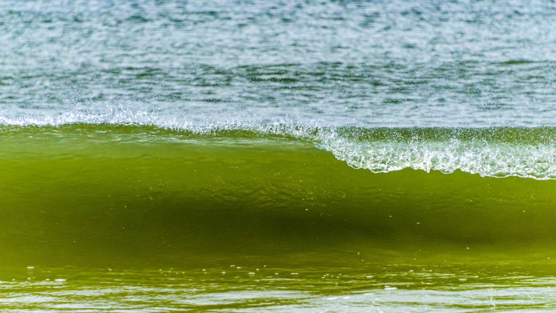 What Kind of Man is This