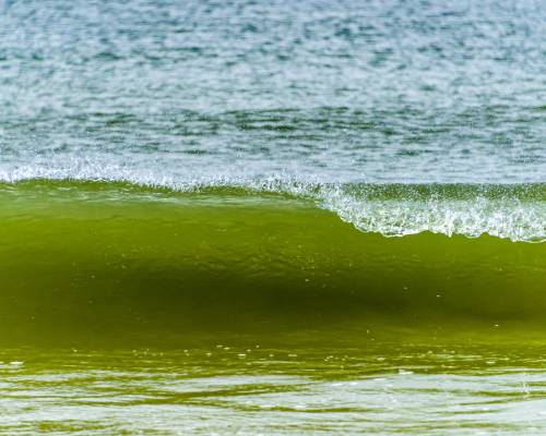 What Kind of Man is This