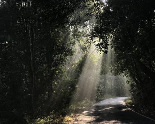 What's Your Reputation?