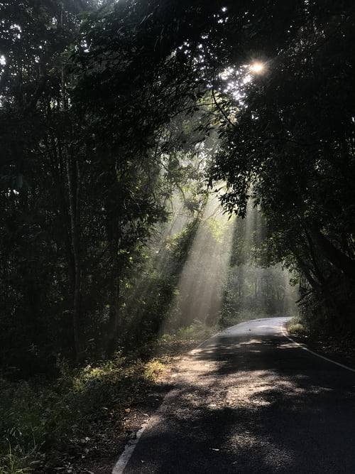 What's Your Reputation?