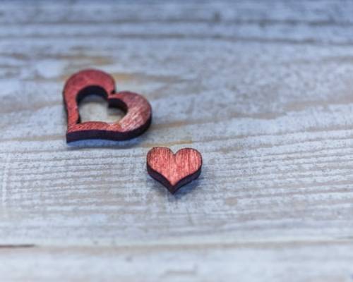 Wholehearted Devotion