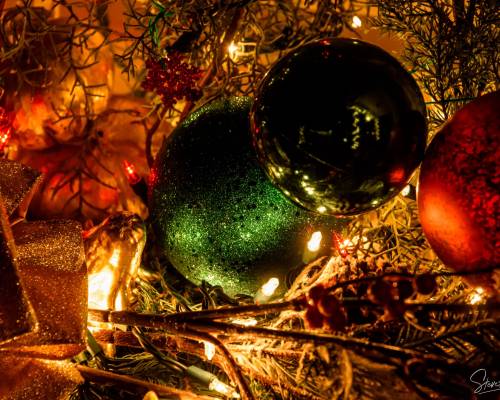 Window Box Christmas