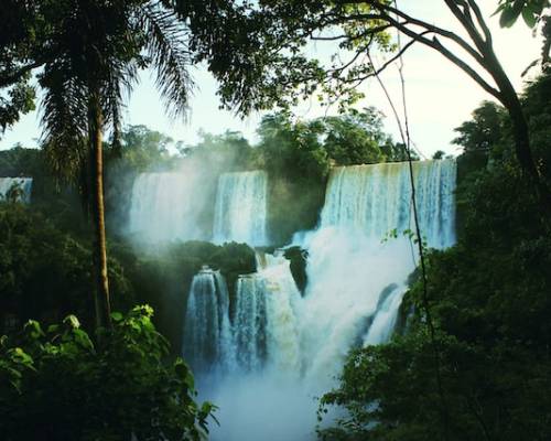 The God of the Garden