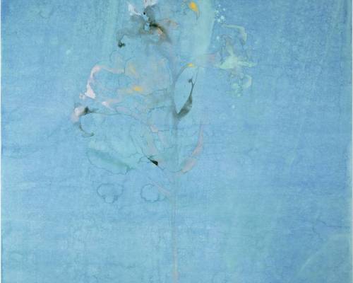 Crushed and Beautiful