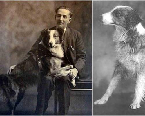 Our Hearts True Home