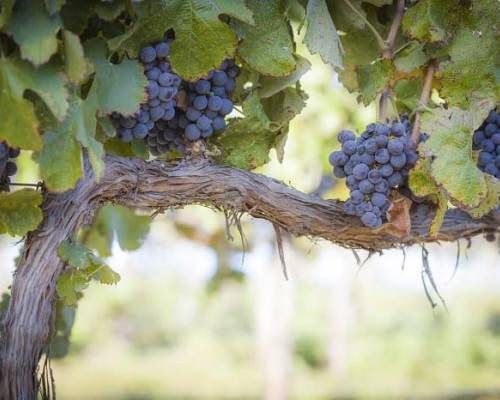 The Spirit Filled Life