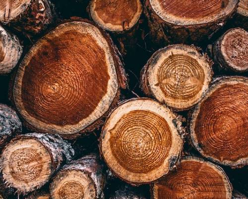 The Speck and The Log