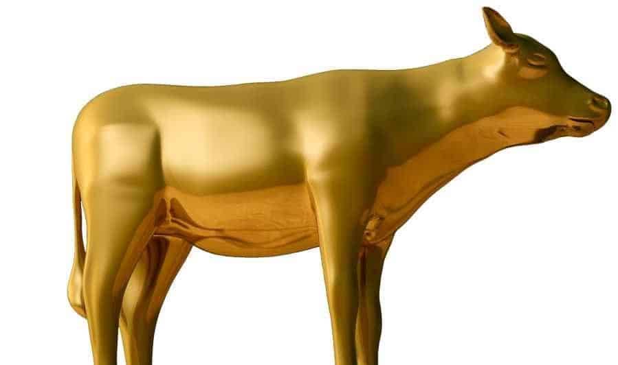 The Gold Bull-Calf