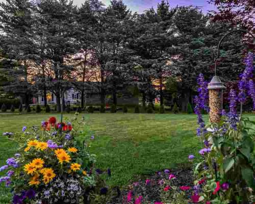 Spring Has Sprung Also