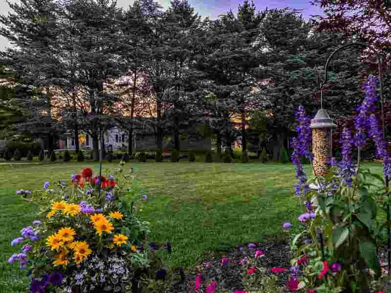 Spring Has Sprung Also