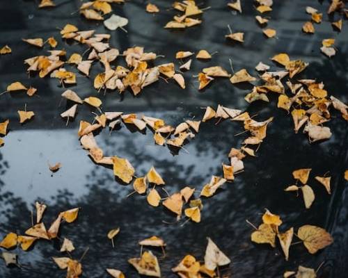 How to Treat One Another