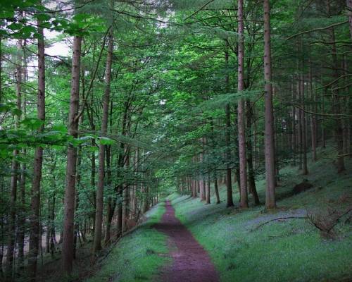 Filling the God Shaped Hole - Jay