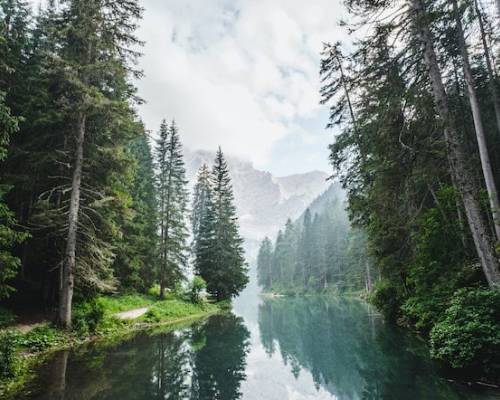 Listening To God, Walking With God