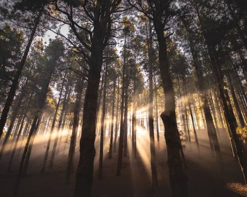 God’s Will - It’s Worth the Wait