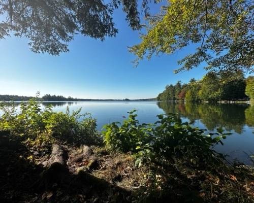 The Generosity of Friends and Their Calling