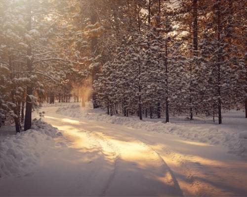 Hope in Every Season