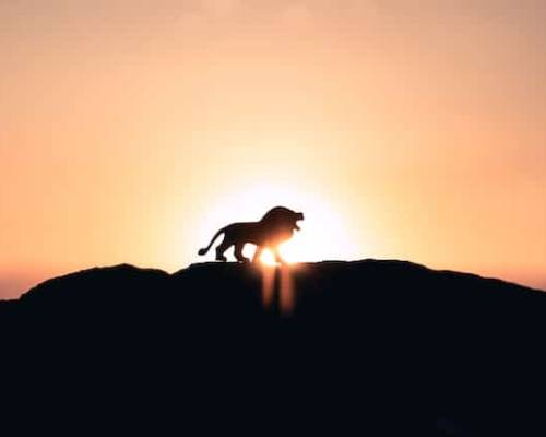 Becoming a True King