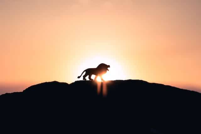 Becoming a True King