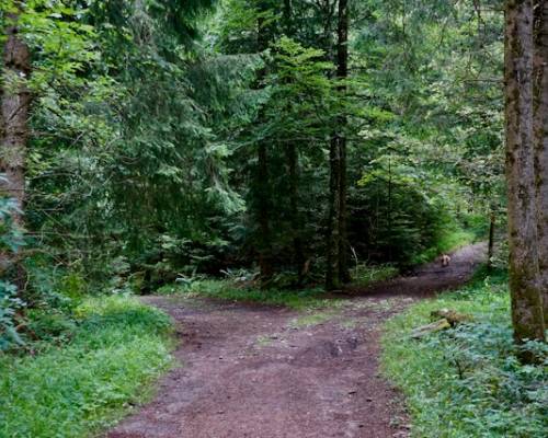 Consequences to Choices