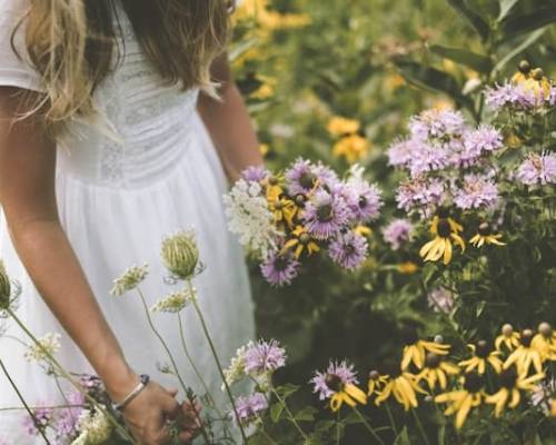 Understanding the Feminine Heart