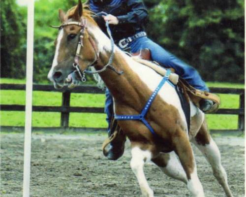 The Valley of the Shadow of Death